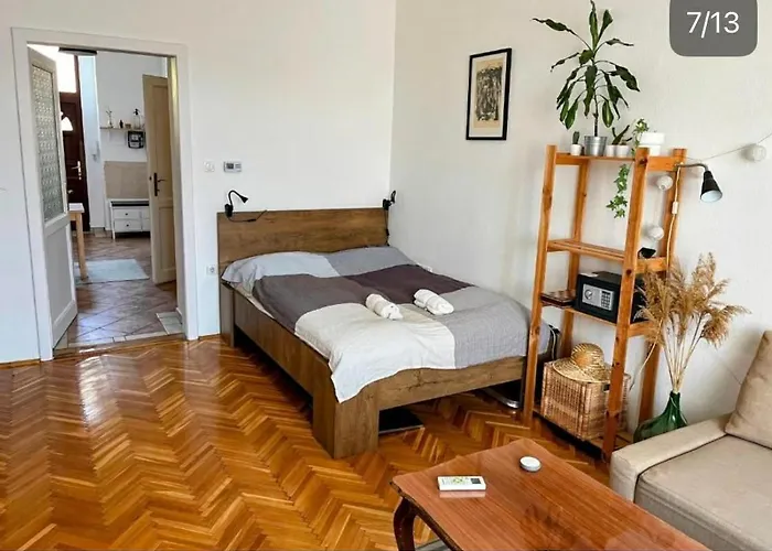 At Chain-bridge Budapest