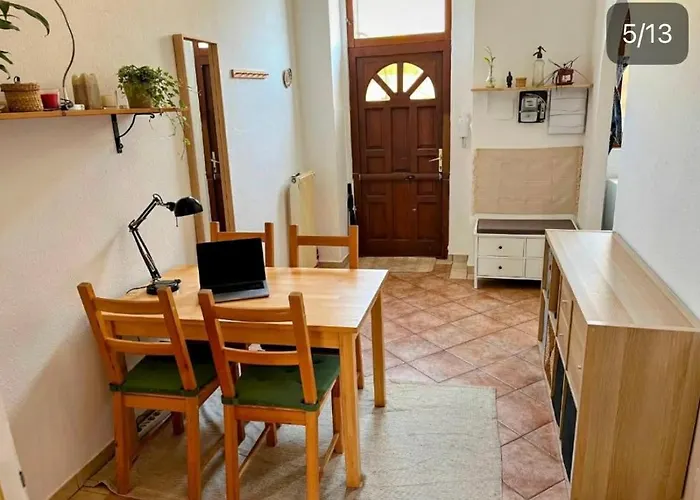 At Chain-bridge * Budapest