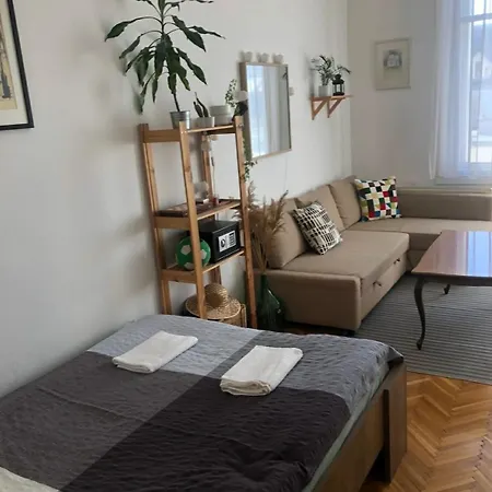 At Chain-bridge ブダペスト