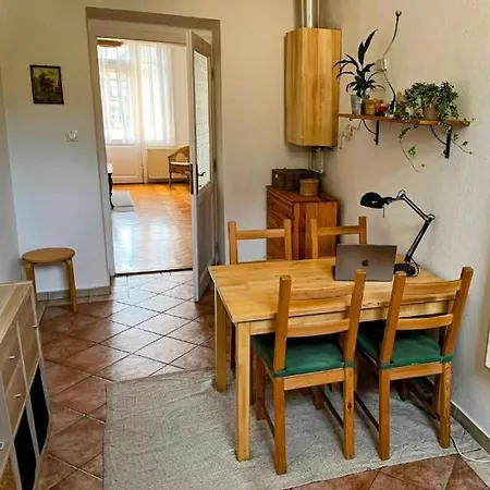 At Chain-bridge Budapest