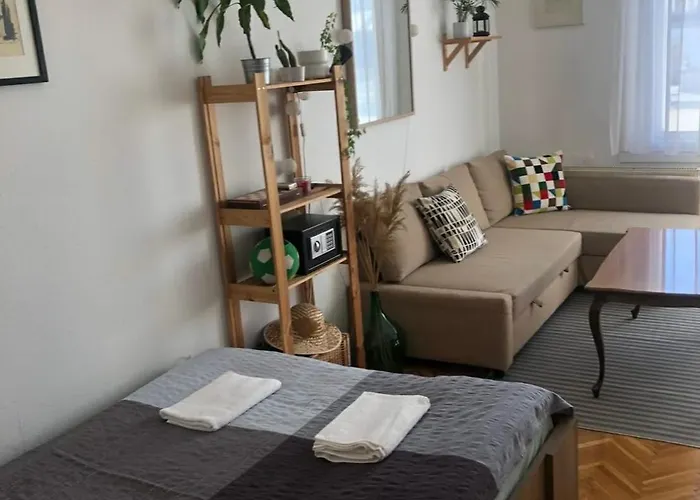 At Chain-bridge Budapest